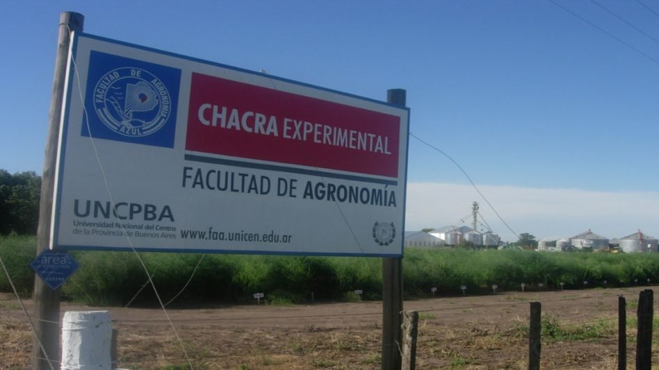 Jornada de espárragos en la Chacra Experimental de la Facultad de Agronomía