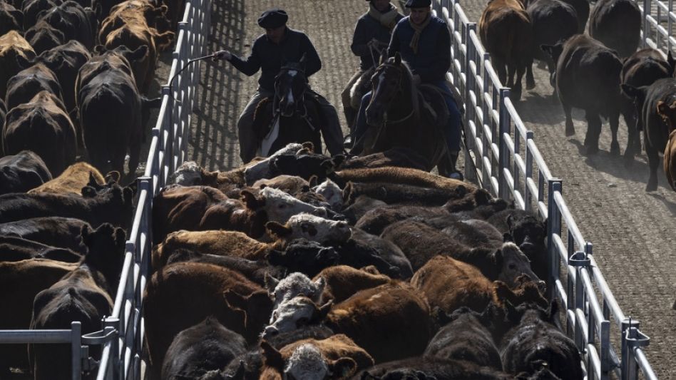 Otra semana negativa con 20.898 negociados en Cañuelas