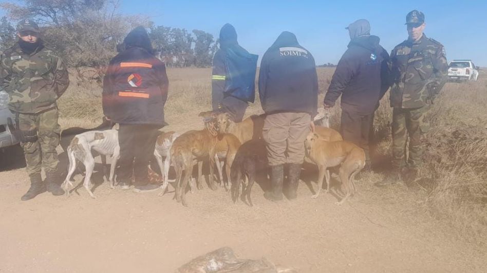 También ayer, agentes del CPR local infraccionaron a cuatro cazadores furtivos. Habían venido desde Campana a un campo de Azul para desarrollar esa práctica ilegal.