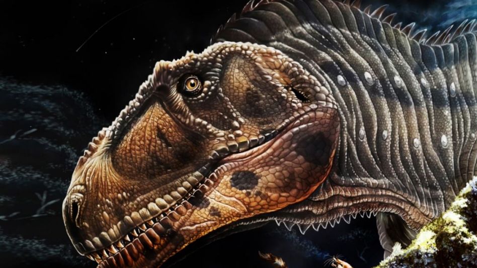 Meraxes Gigas, el dinosaurio gigante hallado en Argentina con su osamenta casi completa