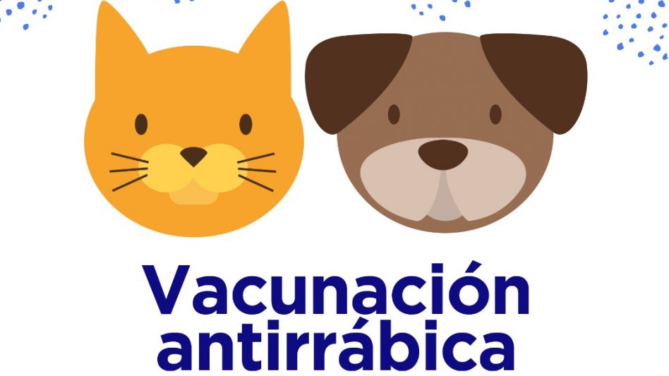 Vacunación antirrábica