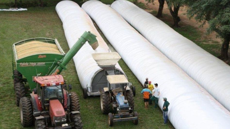 Productores frenan 30% la venta de porotos de soja