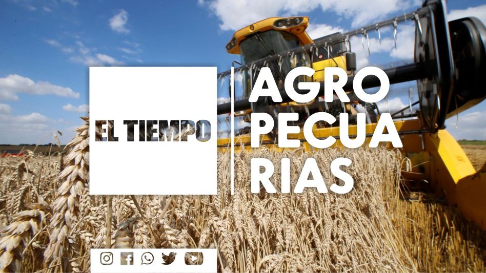 El BCRA flexibiliza cepo para la importación de bienes y servicios 