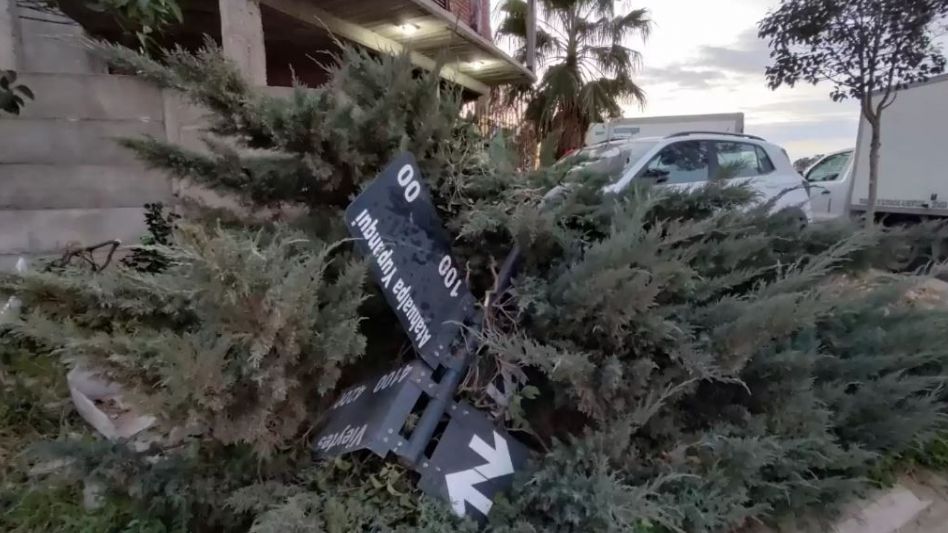 Bahía Blanca: manejaba alcoholizado y terminó arriba de un árbol