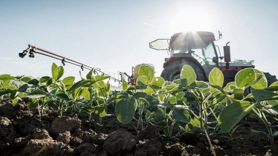 Desde el campo profundizan críticas tras dichos de Fernández y reiteran que no retienen granos para especular