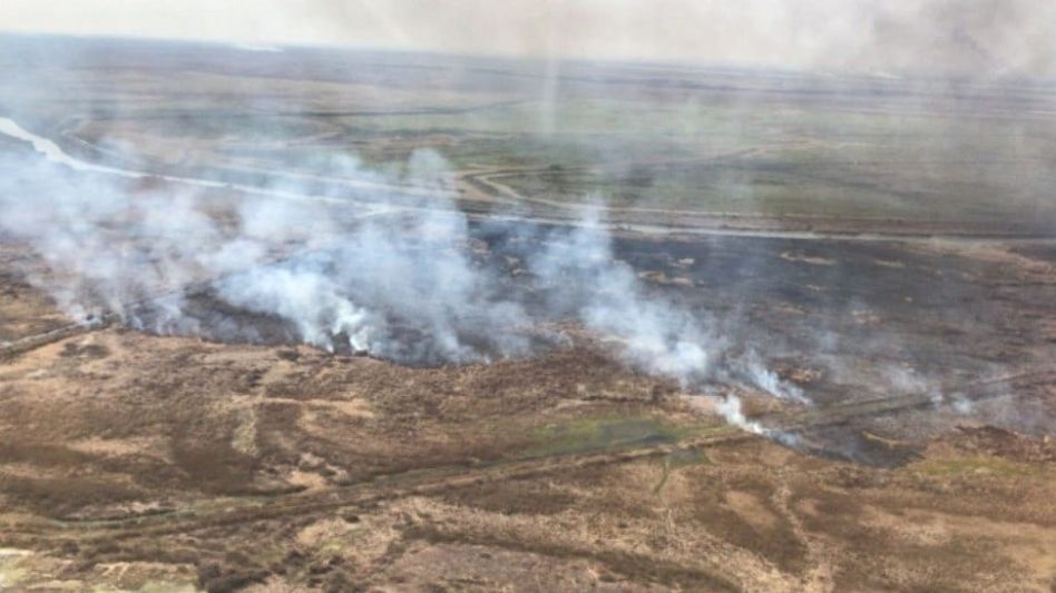 Se registran incendios forestales en territorio bonaerense y en otras cuatro provincias
