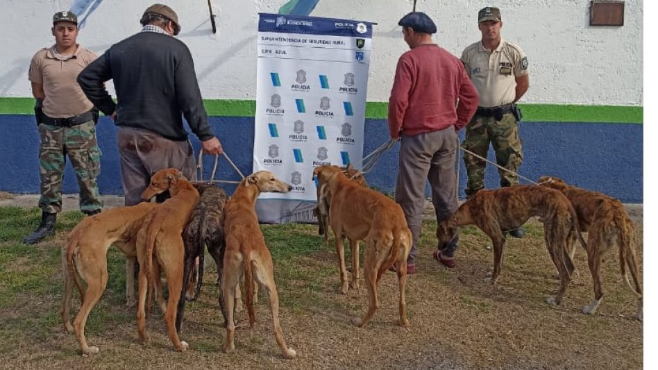 Se hicieron dos procedimientos por caza furtiva