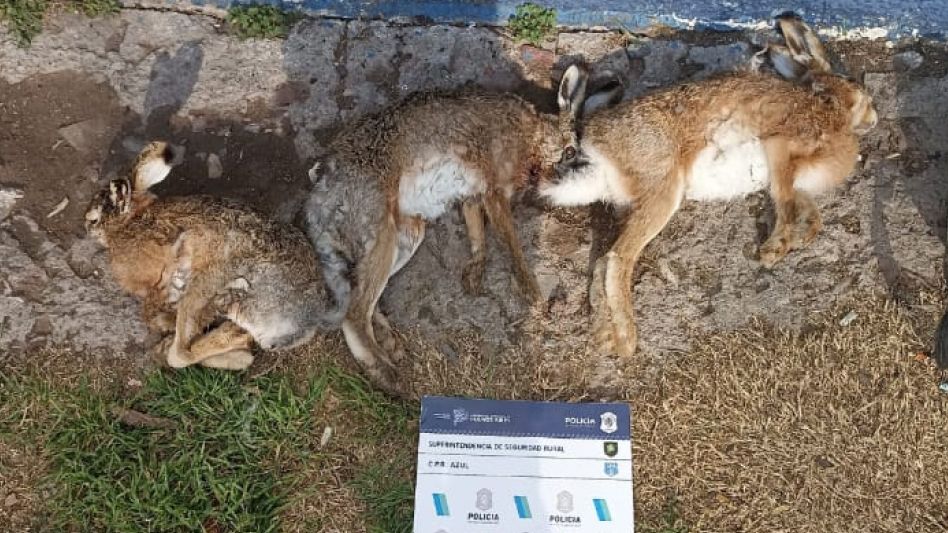 Se hicieron dos procedimientos por caza furtiva