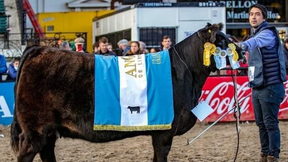 La Gran Campeón Hembra de Don José Mammoliti. 