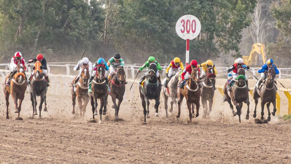 Un total de 134 caballos pura sangre compondrán la octava reunión del año en el circo hípico local, con la organización del Jockey Club Azul. Foto: archivo Nacho Correa.