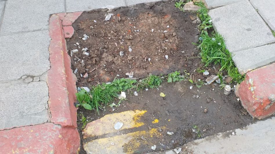 Peleas, corridas, piedrazos y daños  en un comercio y en una camioneta