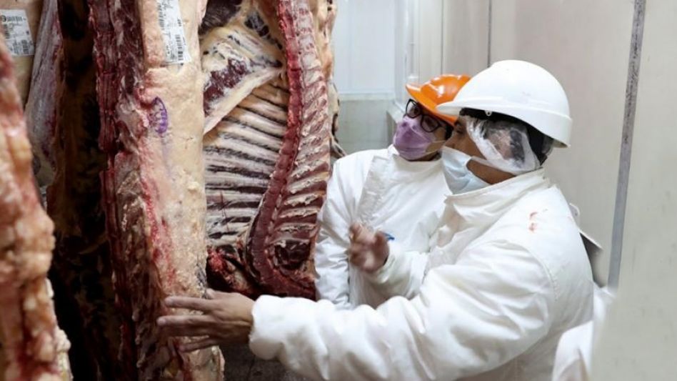 Se registró un alza de peso de faena aumentó producción de carne