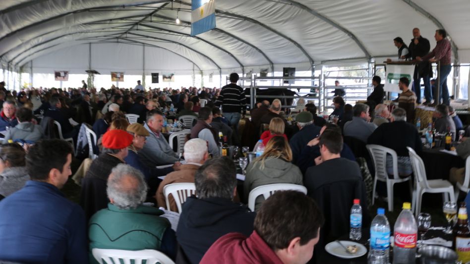 En la carpa de ventas de Tres Marías, Ganadera Azul SRL ofrecerá la producción de la cabaña del ingeniero Horacio Gutiérrez.