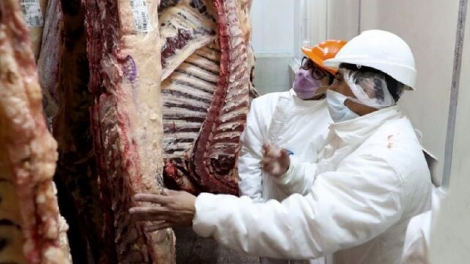 Se registró un alza de peso de faena y aumentó la producción de carnes