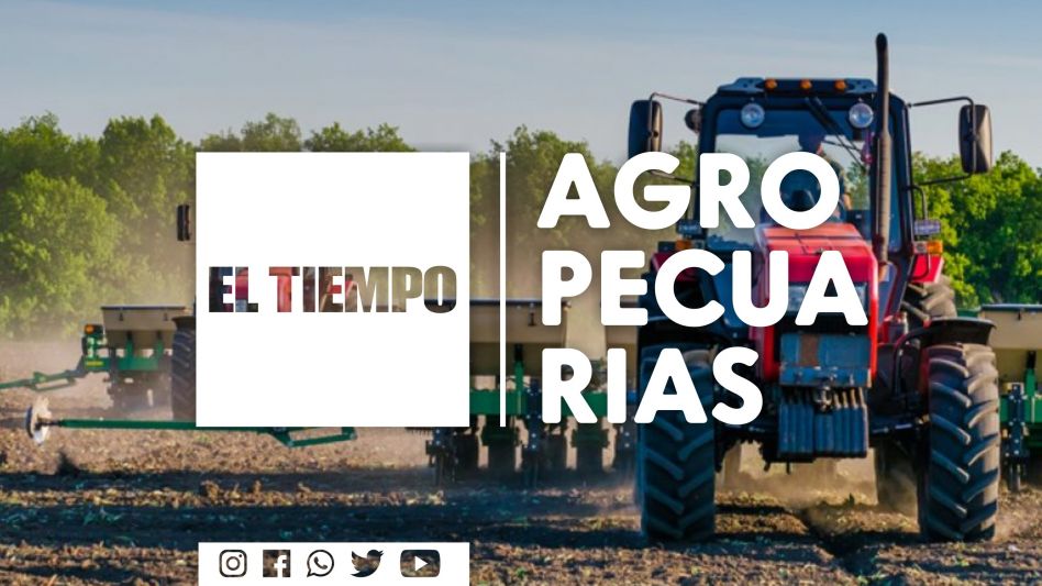 Por el granizo: más de 1.600 hectáreas afectadas y hasta viviendas destrozadas