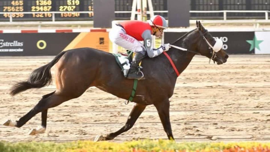 El hijo de Le Blues ganó por 11 cuerpos la carrera de velocidad para productos de las Estrellas. FOTO: GENTILEZA TWITTER CLAUDIO TABORDA.
