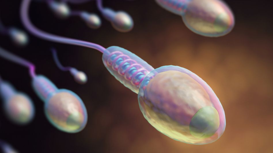Fertilidad: ¿qué es la azoospermia y cómo es el tratamiento? 