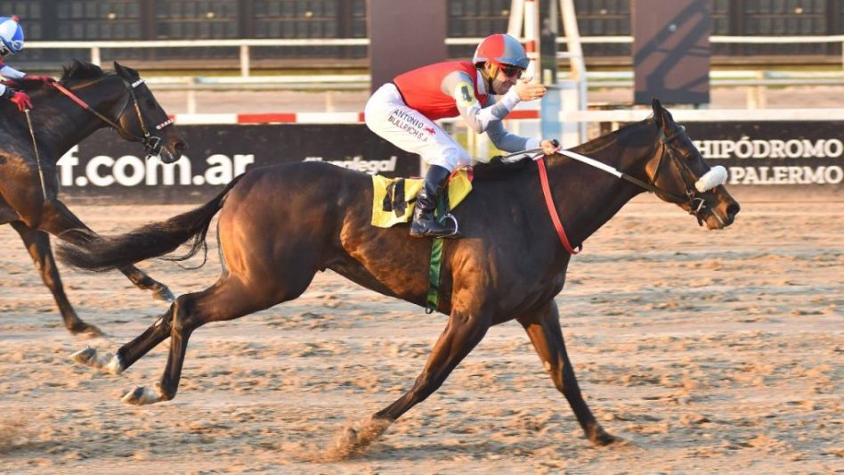El potrillo Labrado (hijo de Le Blues) le ganó bien a Luthier Blues y la revancha será uno de los eventos más esperados del año. Foto: GENTILEZA PASION TURFISTICA