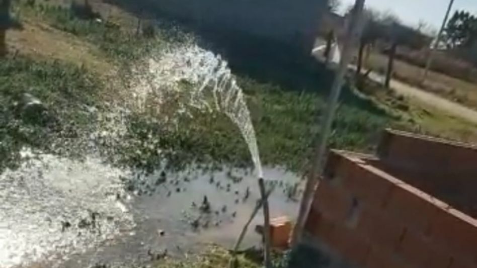 Vemos impactados cómo los carroñeros de siempre van a salir nuevamente a hacer otra movida usando a la gente con la única intención de dañar al intendente Bertellys, expresó Jorge Sarasola. NUEVO AZUL