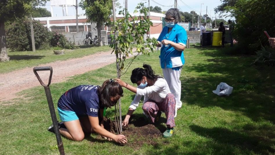 En diciembre del año pasado integrantes de Punto Verde Azul plantaron un árbol nativo en la Unidad Sanitaria n° 1. ARCHIVO/EL TIEMPO