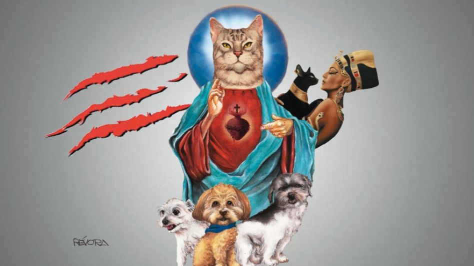 ¿Qué tiene un gato en la cabeza? Mitos y prejuicios bajo la lupa de la ciencia