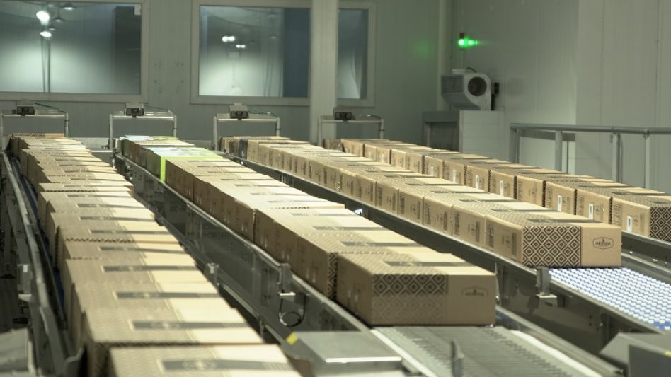 "Estamos entre los principales exportadores a nivel nacional"