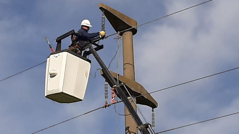 Planes y proyectos en los servicios de CEAL 