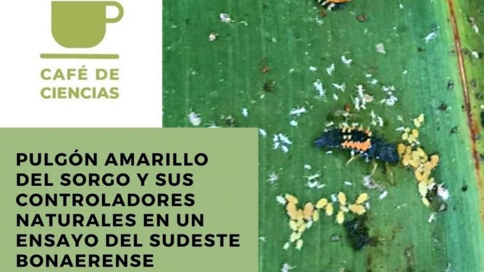Café de Ciencias