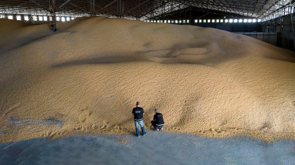 En un análisis de más de 100 empresas se determinaron al menos 15 firmas ficticias, que facturaron unos 51 millones de dólares en exportaciones durante el año anterior y en 2020.   