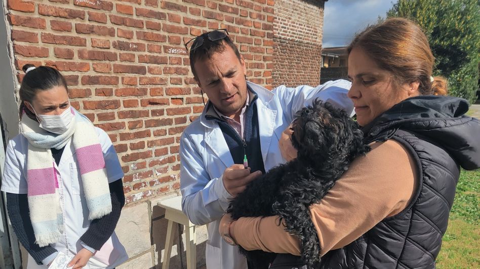 El equipo de Zoonosis Rurales Azul durante una de las jornadas de vacunación contra la rabia que se realiza en esa dependencia con sede en esta ciudad. GENTILEZA ZOONOSIS RURALES AZUL