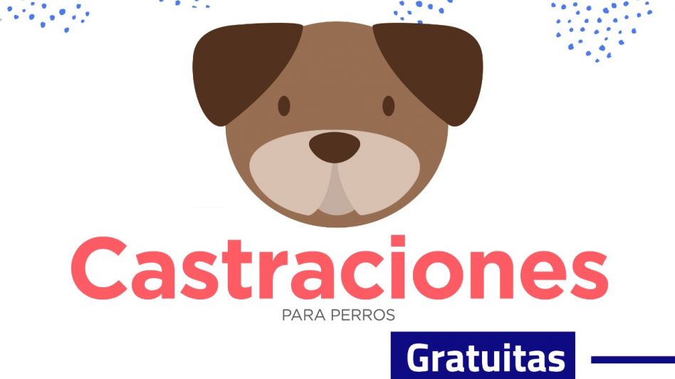 Jornada de Castración en Chillar