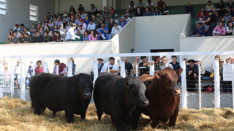 Los primeros tríos de la cabaña liderada por Lisandro Falabella y un máximo de $960.000 