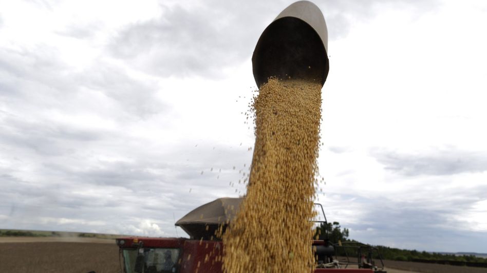 "Dólar soja": limitan a las cerealeras la compra de divisas, pero no a los productores