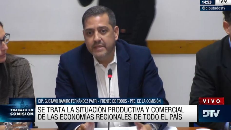 Se realizó la Jornada "Economías regionales, estado de situación y potencialidades" en Diputados