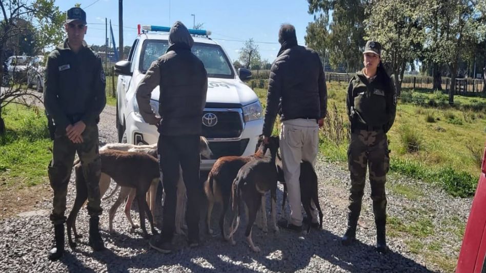 Ambos procedimientos fueron realizados ayer viernes por agentes policiales del Comando de Prevención Rural con asiento en esta ciudad. FOTOS: CPR AZUL/PBA