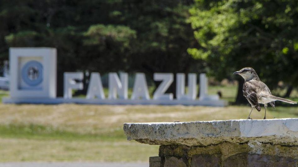 Fanazul ayer conmemoró su 76° aniversario