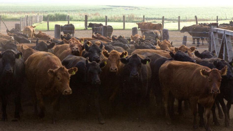 El (SENASA) prorrogó por cuatro años la vigencia del Registro Nacional de control de Reproductores Rumiantes Importados del mal de la vaca loca.