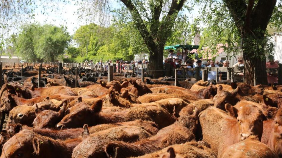 Corrales llenos y mucha calidad en el aniversario de Sivero y Cía.