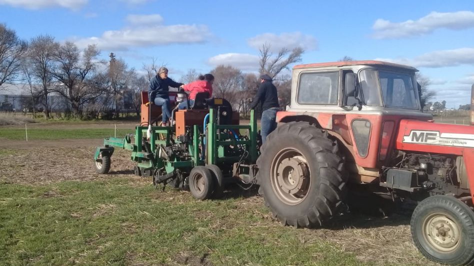 Sembrando: ensayo con sembradora especial de parcelas. FOTO INTA/AGRONOMÍA