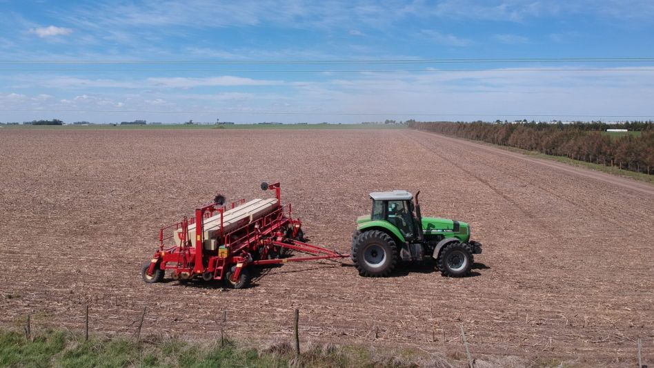 Ayudarán a productores que siembren hasta 400 hectáreas de soja y 100 de maíz