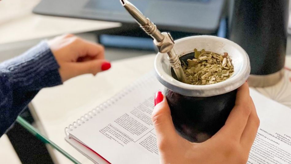 Un estudio asegura que consumir yerba mate durante la lactancia tiene beneficios