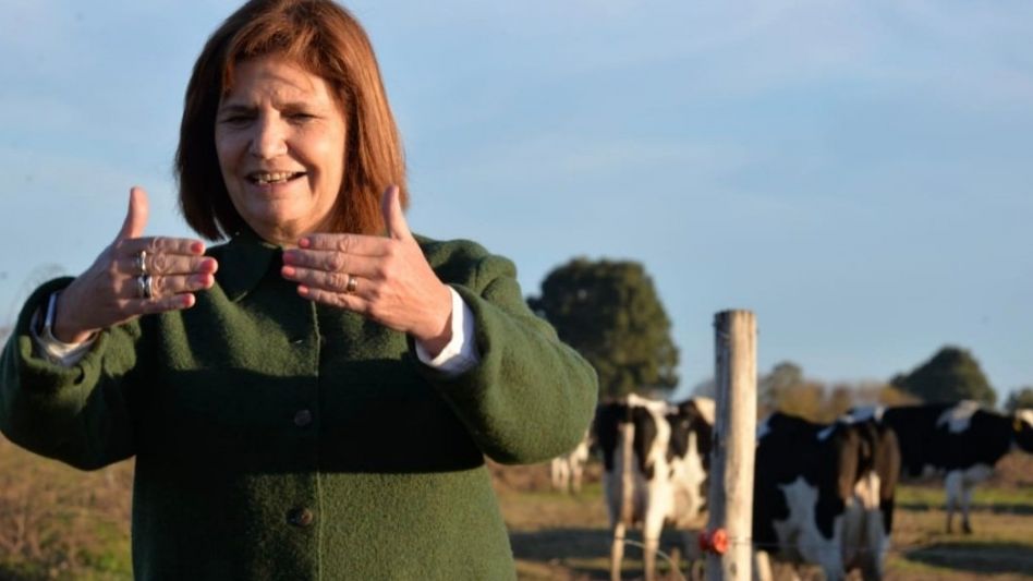 Bullrich: "Que Larreta discuta conmigo, que no me mande soldaditos a hablar"