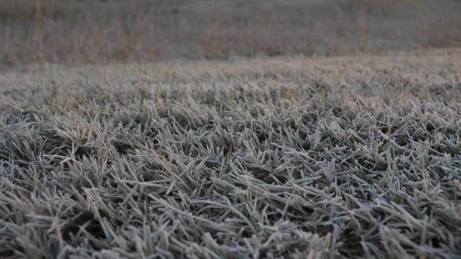 No solo sequía: productores piden al Gobierno asistencia para afrontar daños por heladas