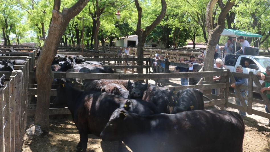 La venta de Néstor I. Goenaga y Cía en nuestra ciudad.