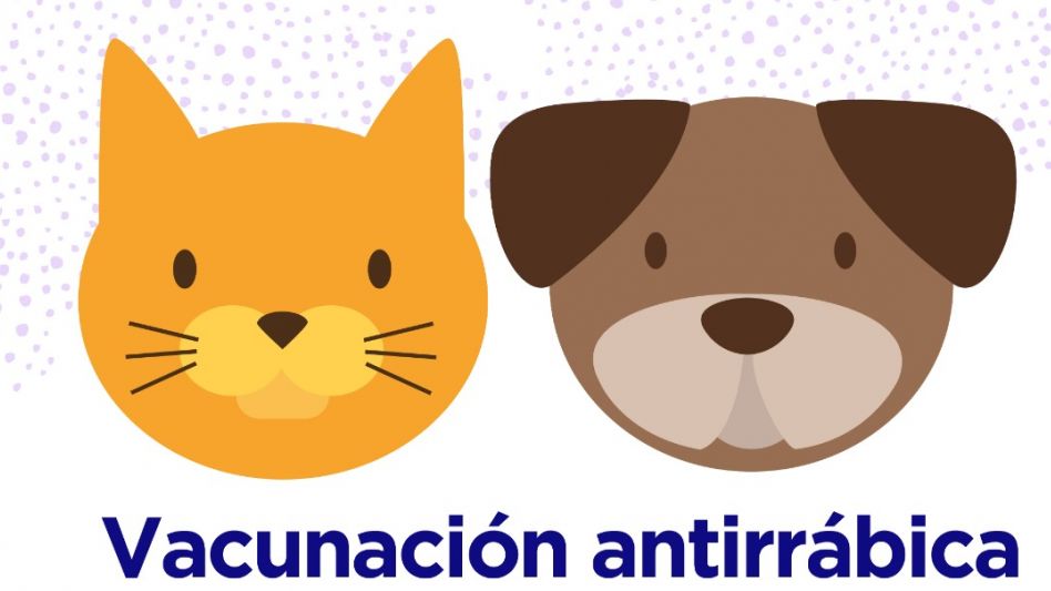Nueva jornada de vacunación antirrábica