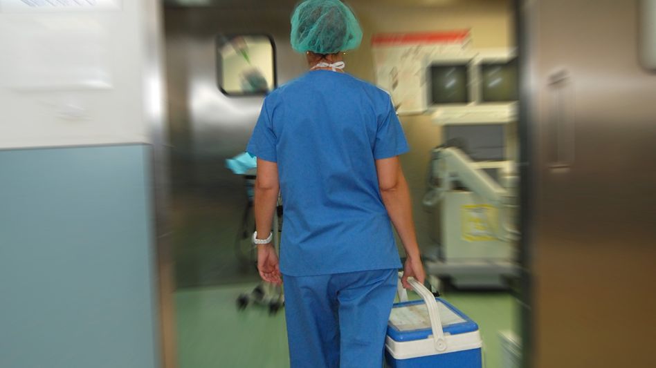 Se alcanzó un "récord histórico" de donaciones efectivas de médula ósea en la Argentina este año