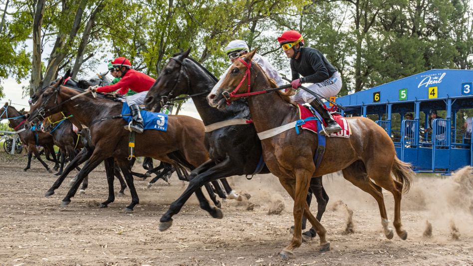 Se abrió la inscripción para la última reunión del año en el Hipódromo Azul. Foto: NACHO CORREA