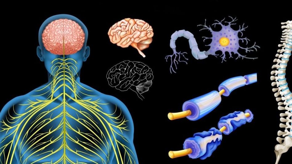 "Vivo con Esclerosis Múltiple", la enfermedad de las mil caras en primera persona   