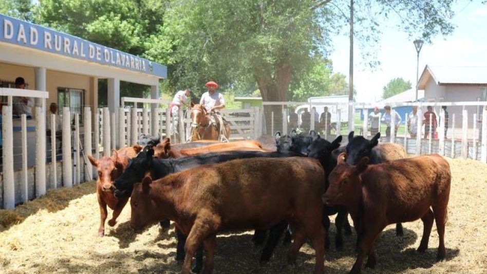 Las ventas de Alfredo S. Mondino en Olavarría.