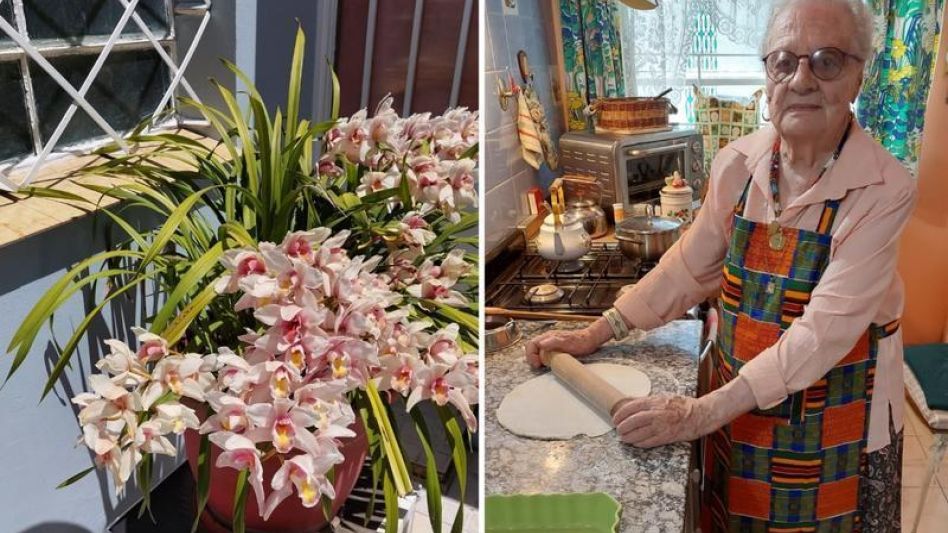 "El Ada de las Orquídeas"